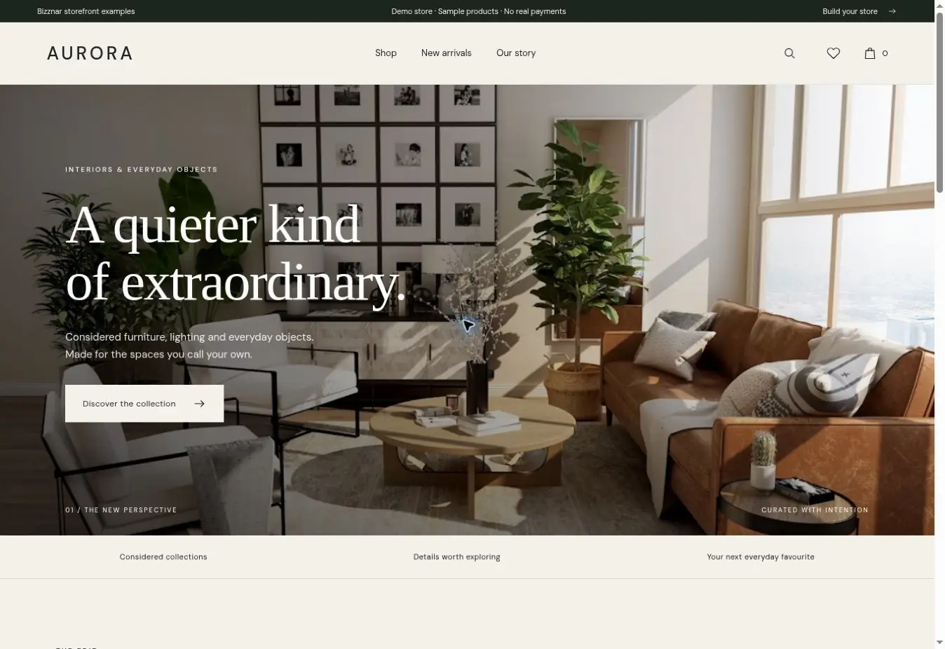 AURORA website concept